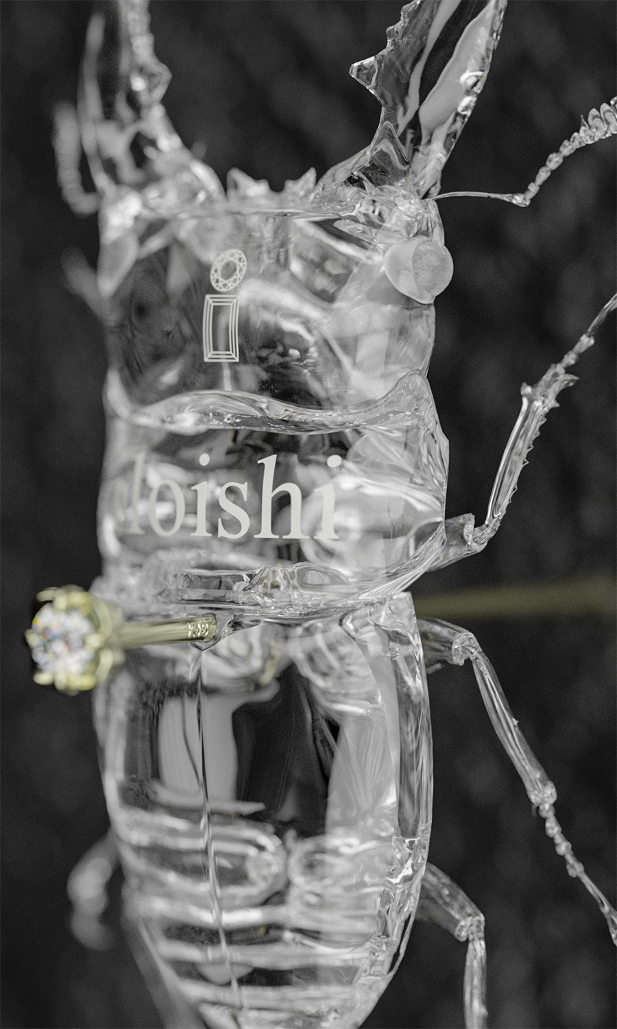 3DCGレンダリング