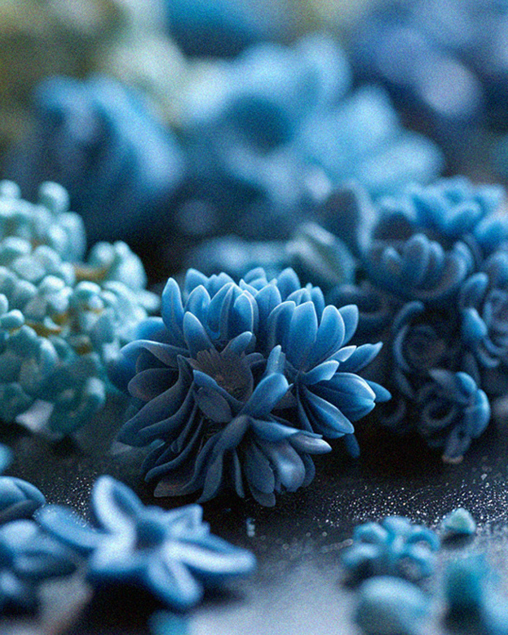 キャスタブルワックス